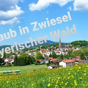 https://ferienwohnung-rachel-im-bayerischen-wald.com-bavaria.com